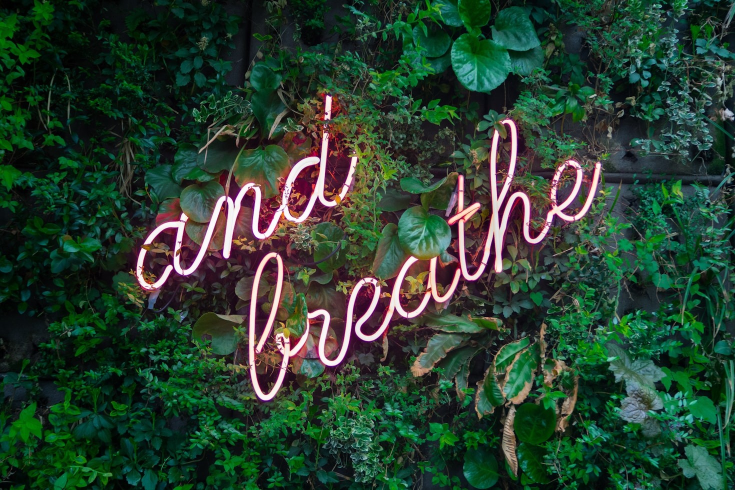 Healing the Past to Build Your Future